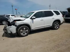 5FNYG1H49RB041351 2024 HONDA PILOT