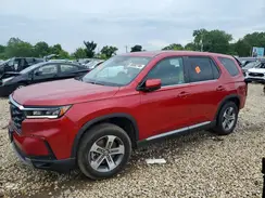 5FNYG1H49RB049787 2024 HONDA PILOT
