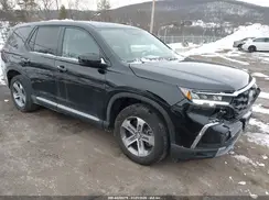 5FNYG1H49SB050427 2025 HONDA PILOT