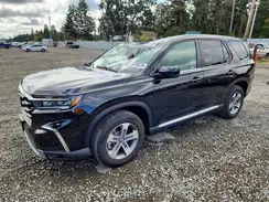 5FNYG1H49SB181776 2025 HONDA PILOT