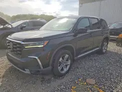 5FNYG1H4XPB058432 2023 HONDA PILOT