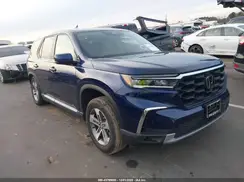 5FNYG1H4XRB004244 2024 HONDA PILOT