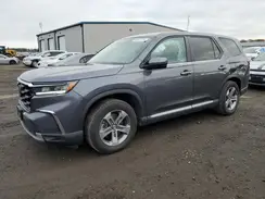 5FNYG1H4XRB044159 2024 HONDA PILOT