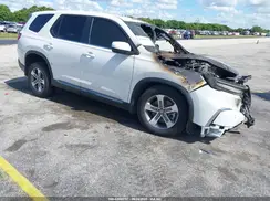 5FNYG1H4XRB045795 2024 HONDA PILOT