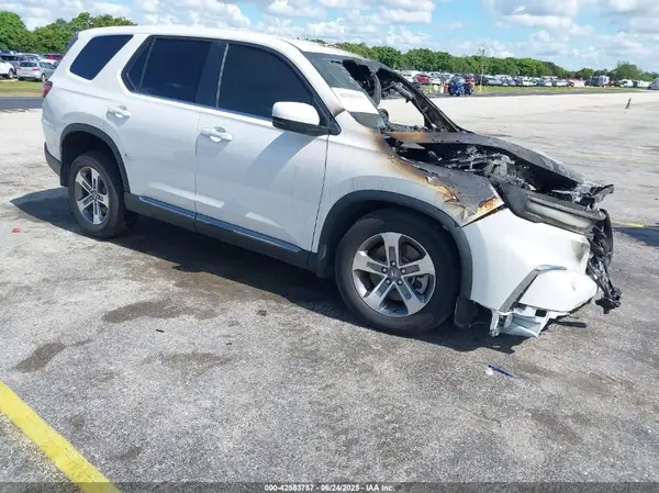 5FNYG1H4XRB045795 2024 HONDA PILOT - Image 1