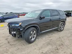 5FNYG1H4XSB036052 2025 HONDA PILOT
