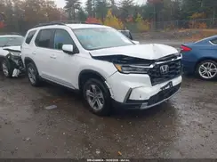 5FNYG1H50PB013198 2023 HONDA PILOT