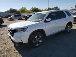 5FNYG1H50RB006724 2024 HONDA PILOT