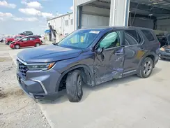 5FNYG1H50RB007596 2024 HONDA PILOT