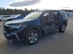 5FNYG1H51PB029653 2023 HONDA PILOT