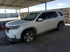 5FNYG1H52RB049087 2024 HONDA PILOT