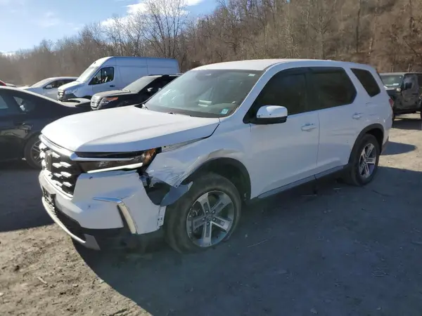 5FNYG1H52RB049090 2024 HONDA PILOT - Image 1