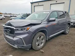 5FNYG1H53RB046960 2024 HONDA PILOT