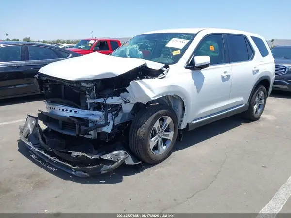 5FNYG1H54RB004684 2024 HONDA PILOT - Image 2