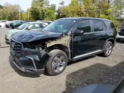 5FNYG1H54RB006371 2024 HONDA PILOT