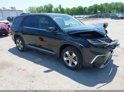5FNYG1H54RB019895 2024 HONDA PILOT