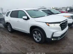 5FNYG1H55PB019126 2023 HONDA PILOT