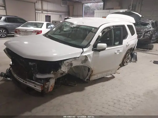 5FNYG1H55RB009893 2024 HONDA PILOT - Image 2