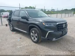 5FNYG1H55RB014222 2024 HONDA PILOT