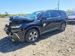 5FNYG1H56PB026280 2023 HONDA PILOT