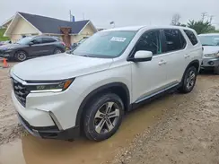 5FNYG1H56RB011233 2024 HONDA PILOT