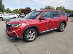 5FNYG1H58PB058325 2023 HONDA PILOT