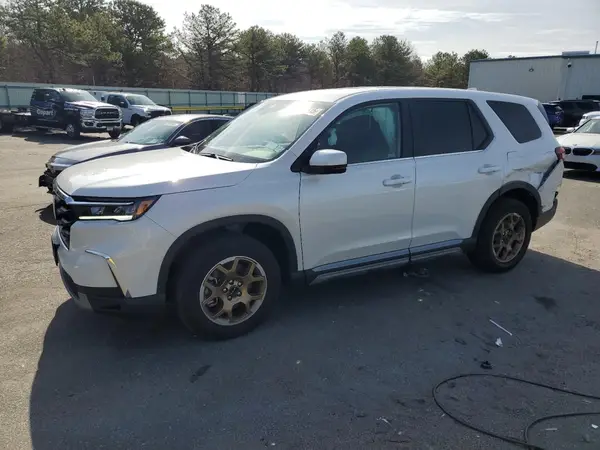5FNYG1H58RB003599 2024 HONDA PILOT - Image 1