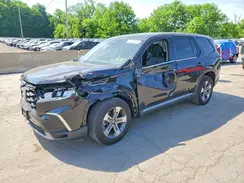 5FNYG1H58RB043231 2024 HONDA PILOT