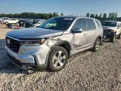 5FNYG1H59RB037678 2024 HONDA PILOT