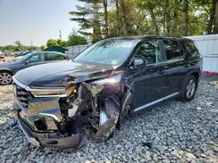 5FNYG1H5XPB052350 2023 HONDA PILOT