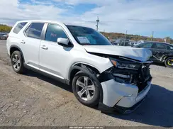 5FNYG1H5XRB006715 2024 HONDA PILOT