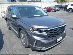 5FNYG1H5XRB035535 2024 HONDA PILOT