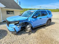 5FNYG1H60RB013598 2024 HONDA PILOT