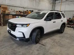 5FNYG1H60RB017537 2024 HONDA PILOT