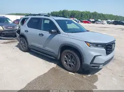 5FNYG1H60RB019546 2024 HONDA PILOT
