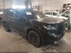 5FNYG1H60RB030286 2024 HONDA PILOT