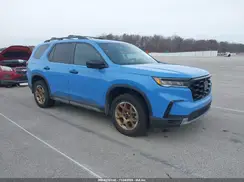 5FNYG1H60RB035021 2024 HONDA PILOT