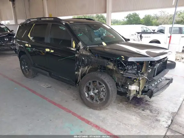 5FNYG1H60RB040879 2024 HONDA PILOT - Image 1