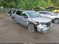 5FNYG1H60SB018371 2025 HONDA PILOT