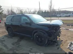 5FNYG1H60SB045327 2025 HONDA PILOT