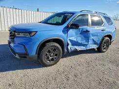 5FNYG1H60SB048146 2025 HONDA PILOT