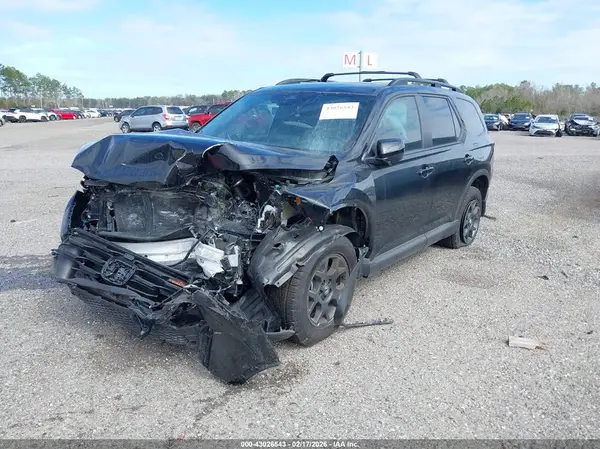 5FNYG1H60SB137358 2025 HONDA PILOT - Image 2