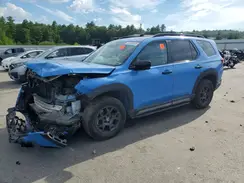 5FNYG1H61PB003191 2023 HONDA PILOT