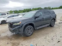 5FNYG1H61PB005913 2023 HONDA PILOT