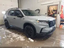 5FNYG1H61PB504856 2023 HONDA PILOT