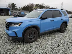5FNYG1H61RB012492 2024 HONDA PILOT