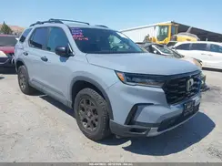5FNYG1H61RB018339 2024 HONDA PILOT