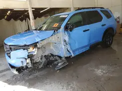 5FNYG1H61RB044648 2024 HONDA PILOT