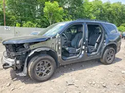 5FNYG1H61SB050603 2025 HONDA PILOT