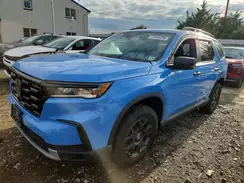 5FNYG1H62RB023663 2024 HONDA PILOT